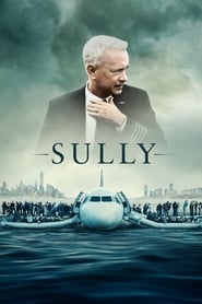 Sully (2016)